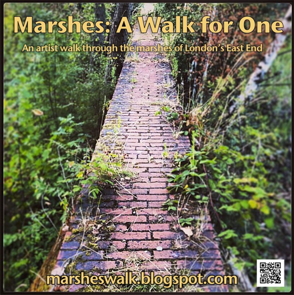 Marshes: A Walk for One